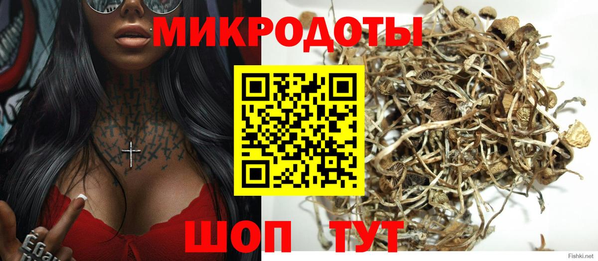Ишим  Псилоцибиновые грибы Cubensis  Псилоцибиновые грибы Psilocybine cubensis  Вход с VPN 
